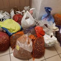 Zebraliśmy prawie 400 kg żołędzi i kasztanów!!!