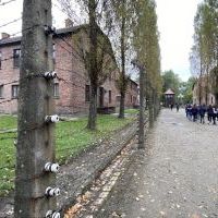 Muzeum Auschwitz-Birkenau (5)