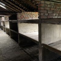 Muzeum Auschwitz-Birkenau (3)