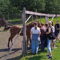 KLASA 7 i FOTO-plener (8)